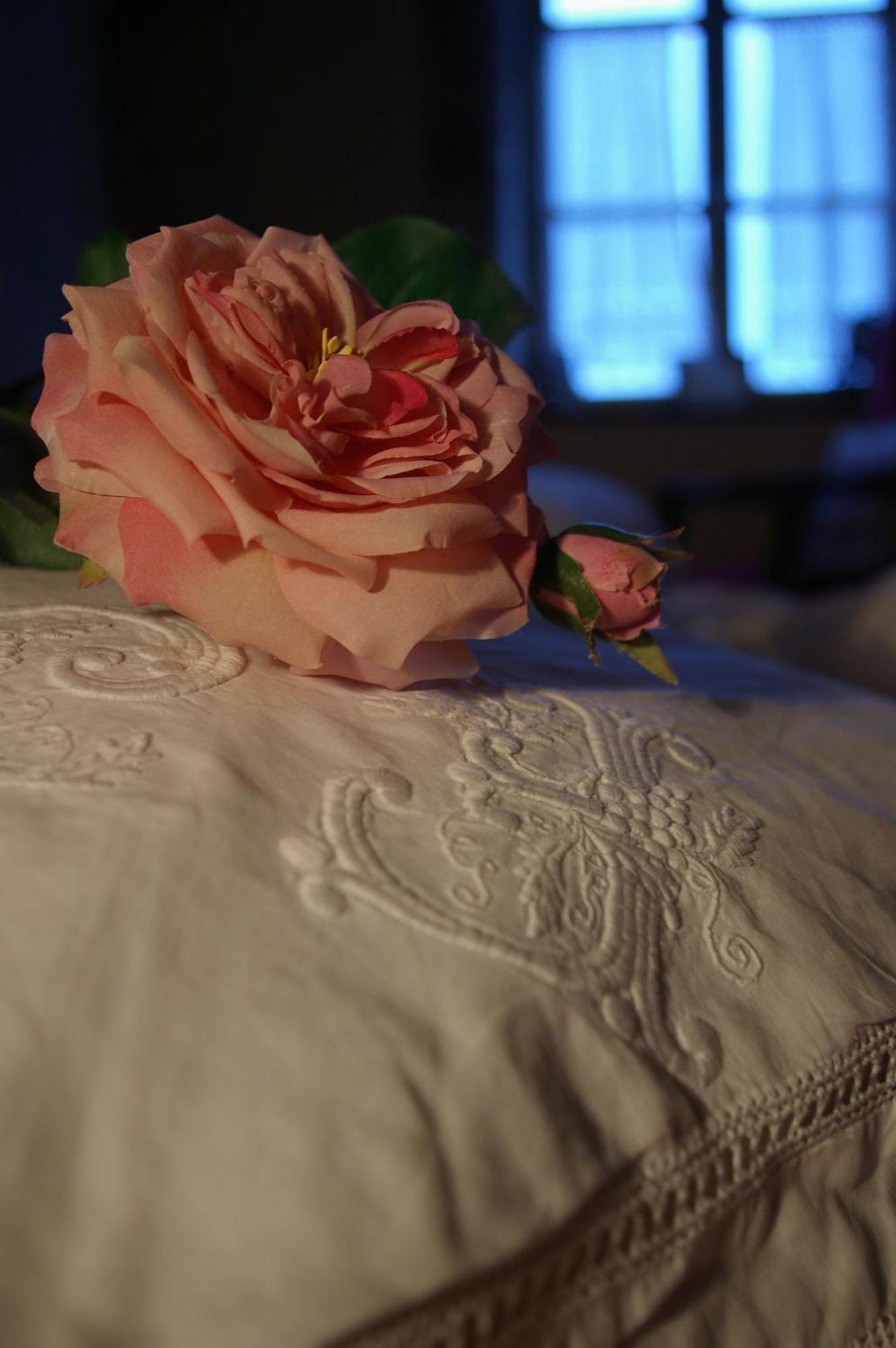 Manoir De Coulandon 호텔 아르정탱 외부 사진